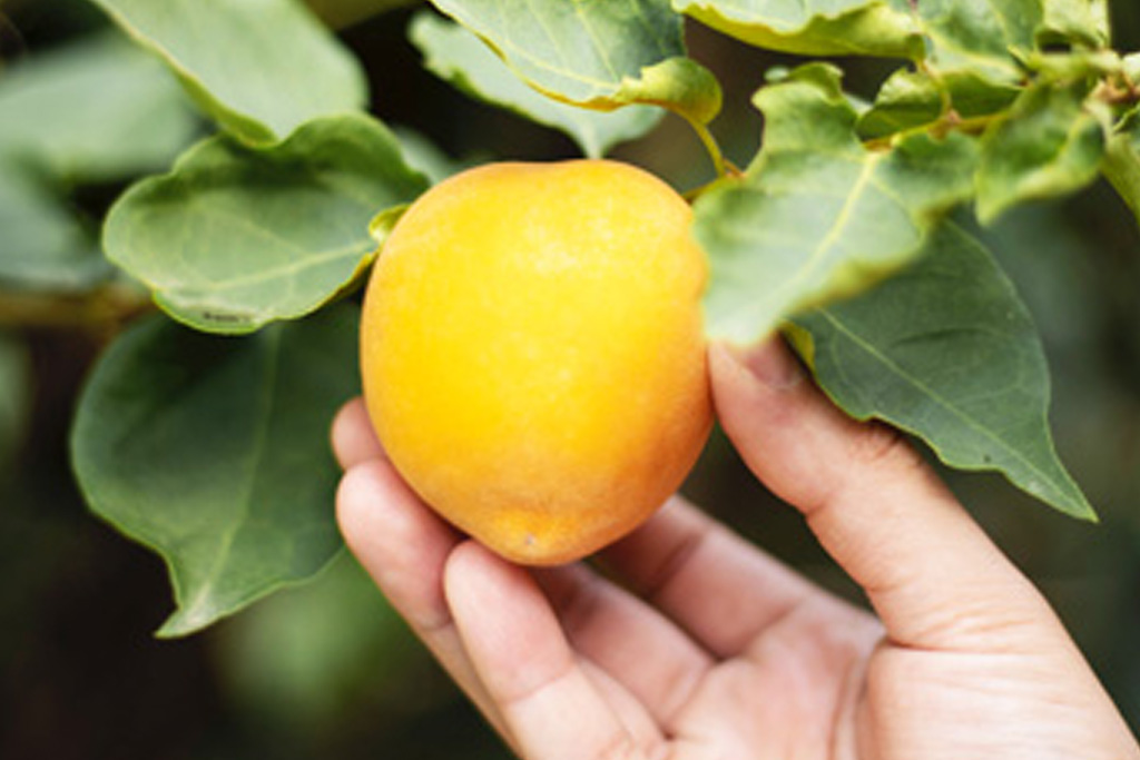 Récoltez le fruit de votre location en toute sérénité